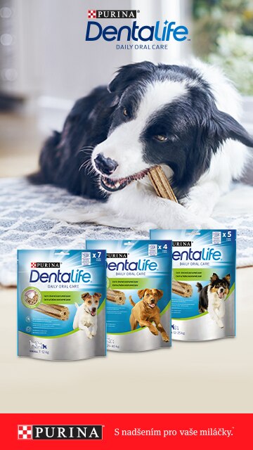 Zaregistrujte se a získejte dárkový balíček Purina® DentaLife®